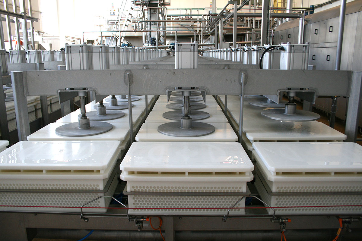 Semi-hard cheese production Open cheese press